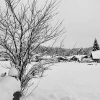 Haus Seeblick 