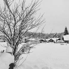 Haus Seeblick 