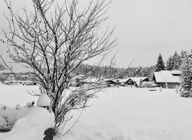 Haus Seeblick 