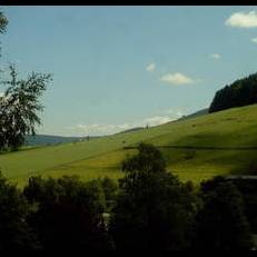 Waldfrieden I 