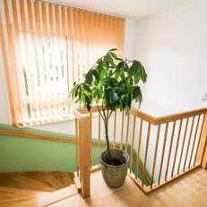 Haus Wetscher 