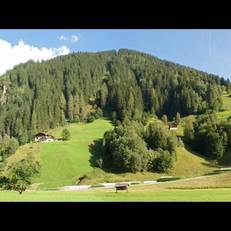 Pension Auhof 