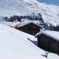 Apart Avenzio 