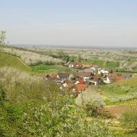 Gasthof Rose 