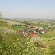 Gasthof Rose 