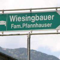 Wiesingbauer 