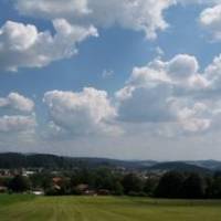 Waldsiedlung 
