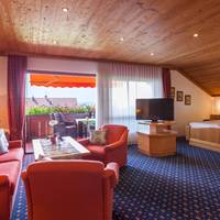 Hotel Alpina 