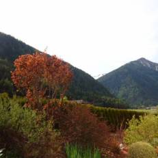 Haus Obernig 