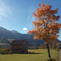 Haus Antonia 