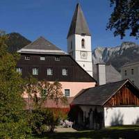 Blaue Traube 