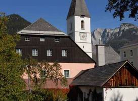 Blaue Traube 