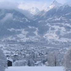 Schachinger 