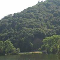 Am Weinberg 
