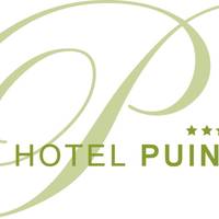 Hotel Puint 
