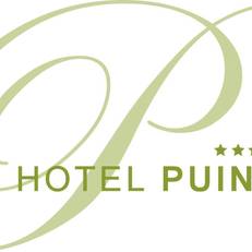 Hotel Puint 