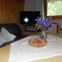 Haus Muster 