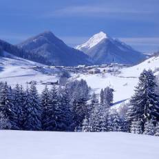 Haus Enzian 