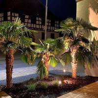 Hotel Engel 