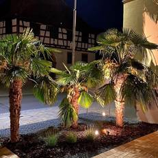 Hotel Engel 