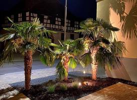 Hotel Engel 