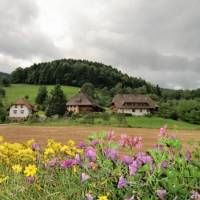 Haus Sonja 