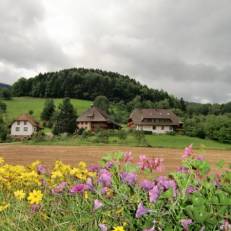Haus Sonja 
