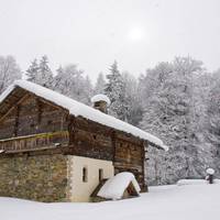 Windhaghof 