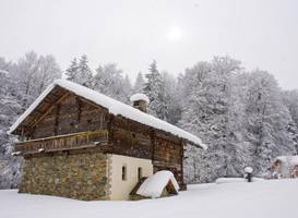 Windhaghof 