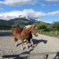 Stefflhof 