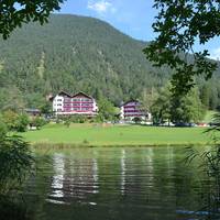 Linserhof 