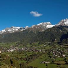 Mesnerhof 