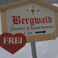 Bergwald 