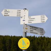 Titisee 