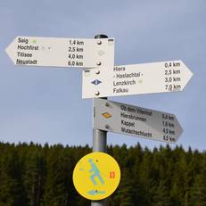 Titisee 