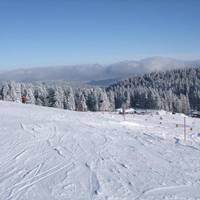 Esche 