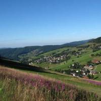 Esche 