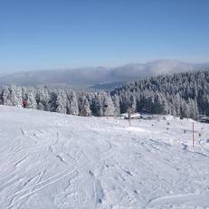 Esche 