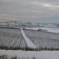 Holiday Home Nizza Bilo Ventuno Ventidue Nizza Monferrato 