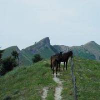 Holiday Home Fiordaliso Roncitelli Di Senigallia 