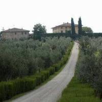 Holiday Home Papessa Trilo San Donato In Poggio 