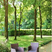 Swiss International Hotel Villa Patriarca 