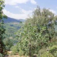 Apartment Pian Di Michele Uno Cutigliano 