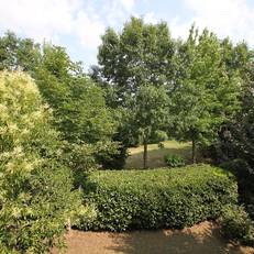 Apartment Ginestra Castiglion Del Lago 