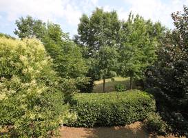 Apartment Ginestra Castiglion Del Lago 