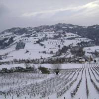 Holiday Home Uva Croce Di Montecolombo 
