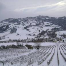 Holiday Home Uva Croce Di Montecolombo 