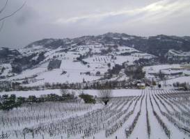 Holiday Home Uva Croce Di Montecolombo 