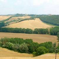 Holiday Home Vallequattro Buonconvento 