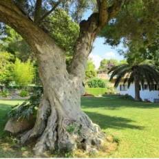 Holiday home Casa Segur de Calafell I 